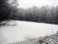 Reinhardswald - Heiligenlger Teiche