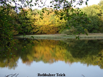 Reinhardswald - Rothbalzer Teich