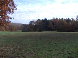 Reinhardswald - Wstung Reinersen