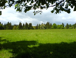 Reinhardswald - Sandbornwiese