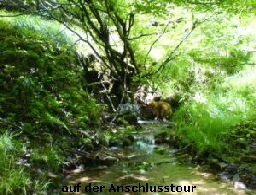 Reinhardswald - Sandbornwiese