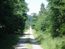 Reinhardswald - Staufenberg