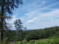 Reinhardswald - Staufenberg